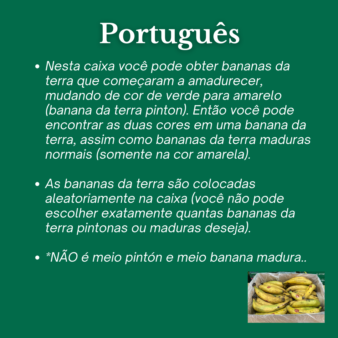 Plátano pintón y maduro