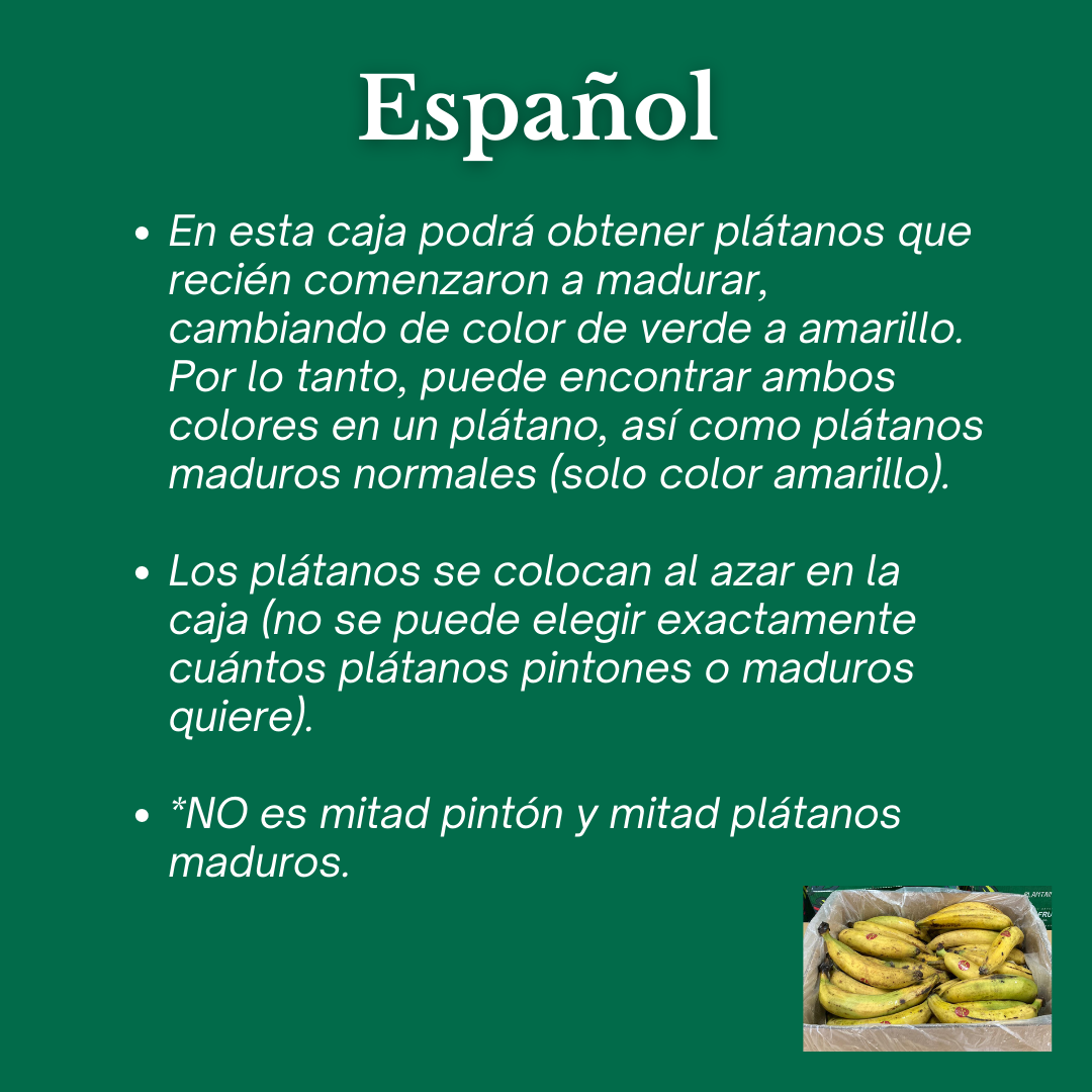 Plátano pintón y maduro