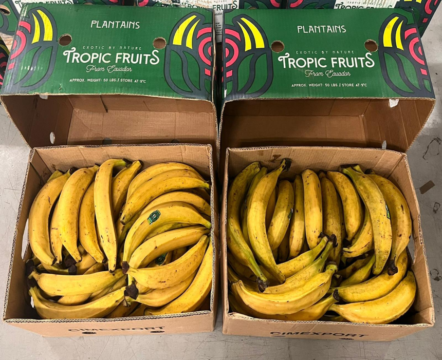 Banana da terra amarela