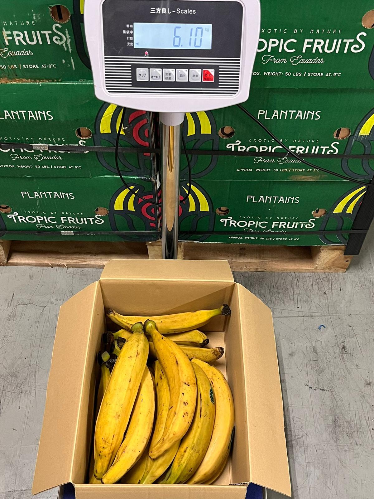 Banana da terra amarela