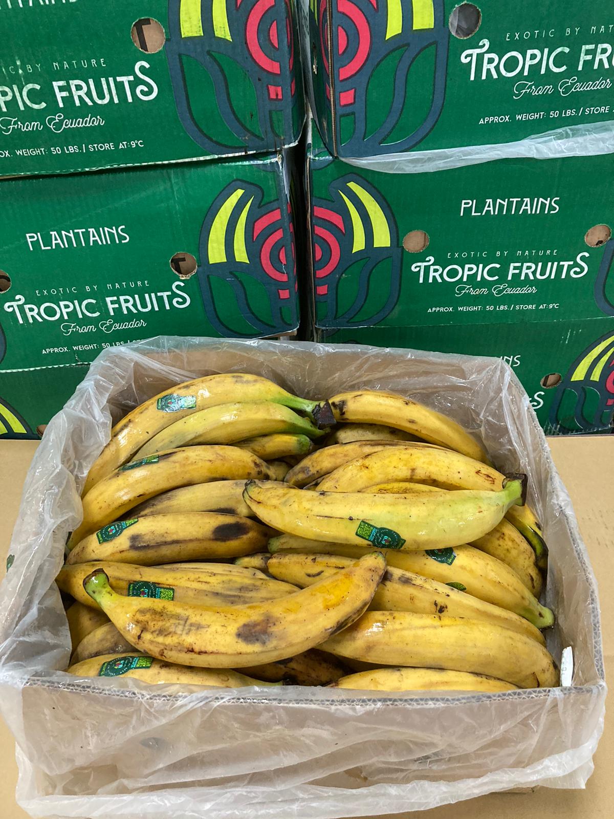 Plátano pintón y maduro