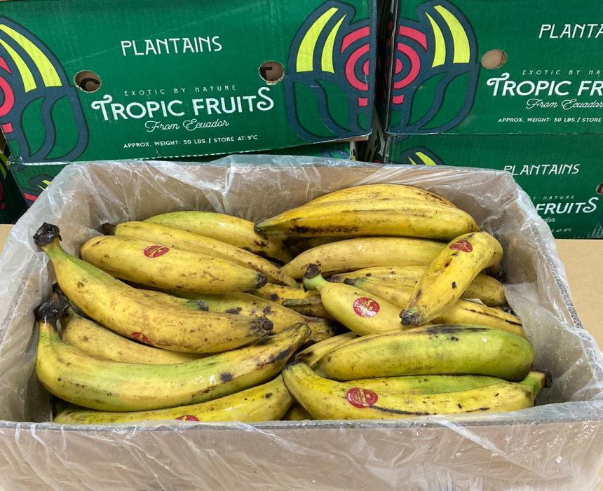 Plátano pintón y maduro